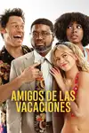 Amigos de las vacaciones - 2021
