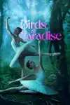 Aves del paraiso - 2021
