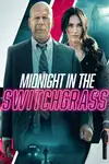 Medianoche en Switchgrass - 2021